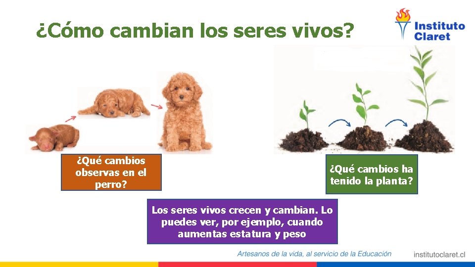 ¿Cómo cambian los seres vivos? ¿Qué cambios observas en el perro? ¿Qué cambios ha