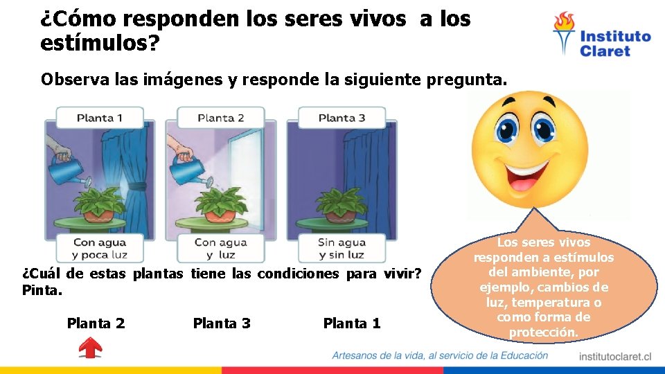 ¿Cómo responden los seres vivos a los estímulos? Observa las imágenes y responde la