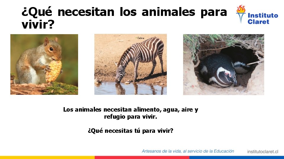 ¿Qué necesitan los animales para vivir? Los animales necesitan alimento, agua, aire y refugio