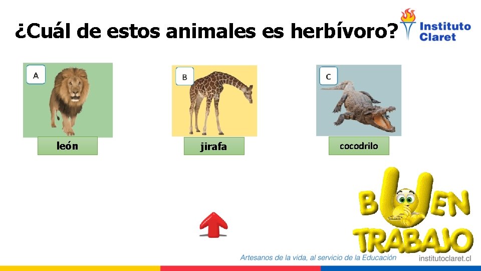 ¿Cuál de estos animales es herbívoro? león jirafa cocodrilo 