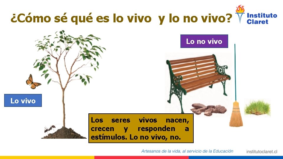 ¿Cómo sé qué es lo vivo y lo no vivo? Lo no vivo Los
