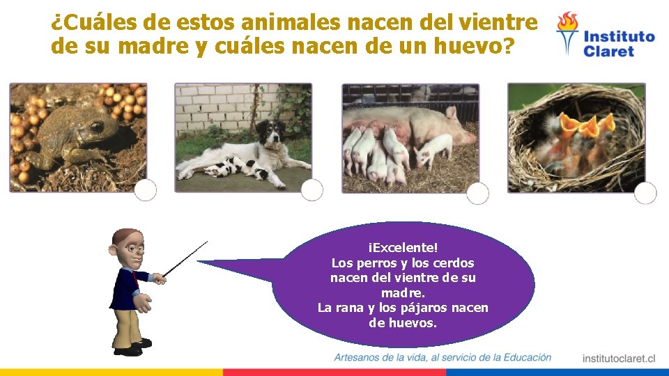 ¿Cuáles de estos animales nacen del vientre de su madre y cuáles nacen de