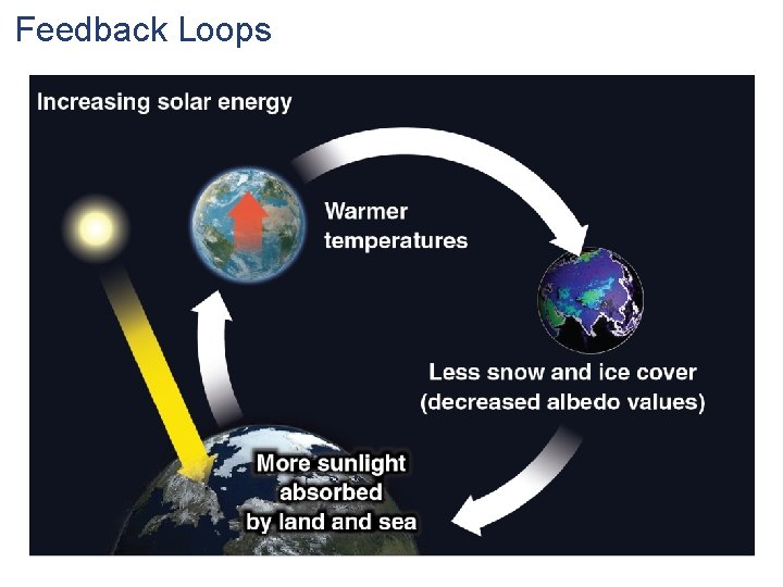 Feedback Loops 