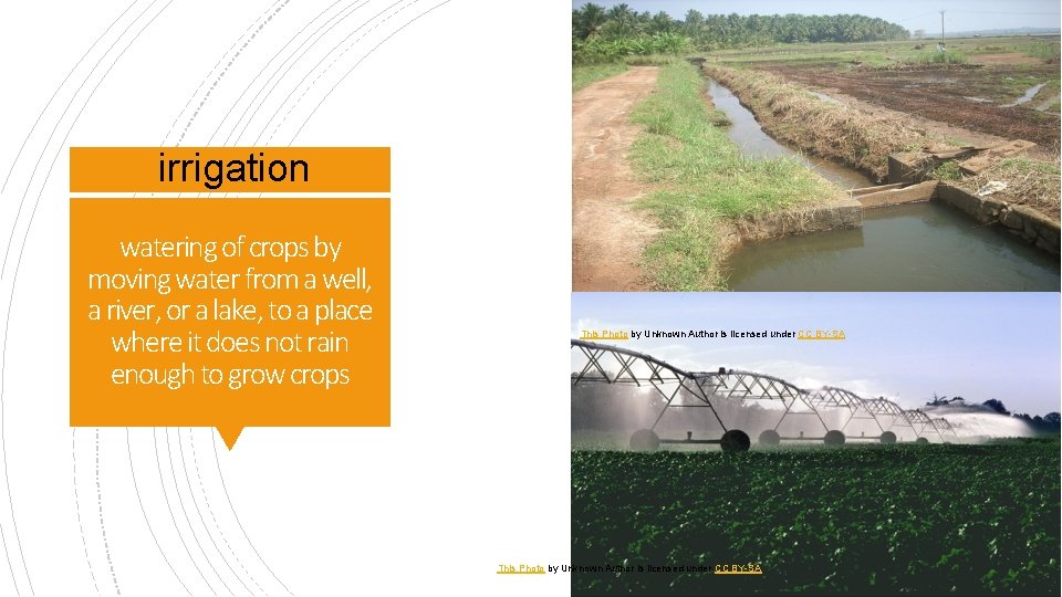 irrigation watering of crops by moving water from a well, a river, or a