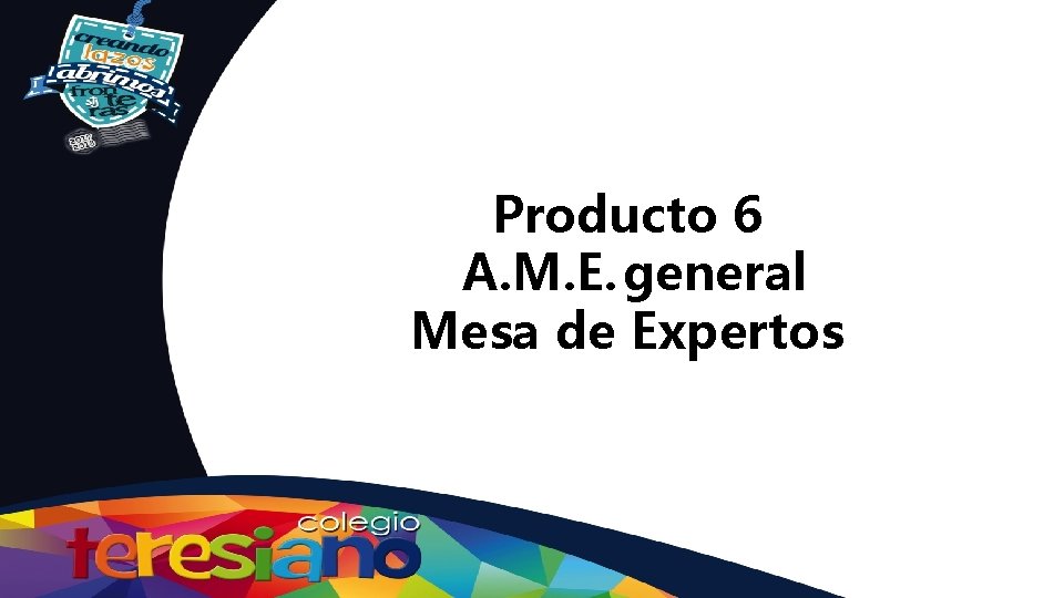 Producto 6 A. M. E. general Mesa de Expertos 