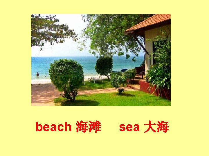 beach 海滩 sea 大海 