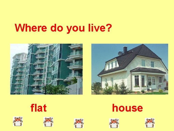 Where do you live? flat house 