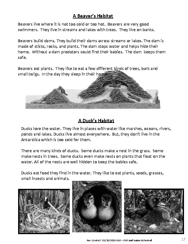 A Beaver’s Habitat Beavers live where it is not too cold or too hot. A Beaver’s Habitat Beavers live where it is not too cold or too hot.
