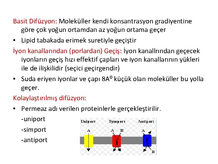 Basit Difüzyon: Moleküller kendi konsantrasyon gradiyentine göre çok yoğun ortamdan az yoğun ortama geçer