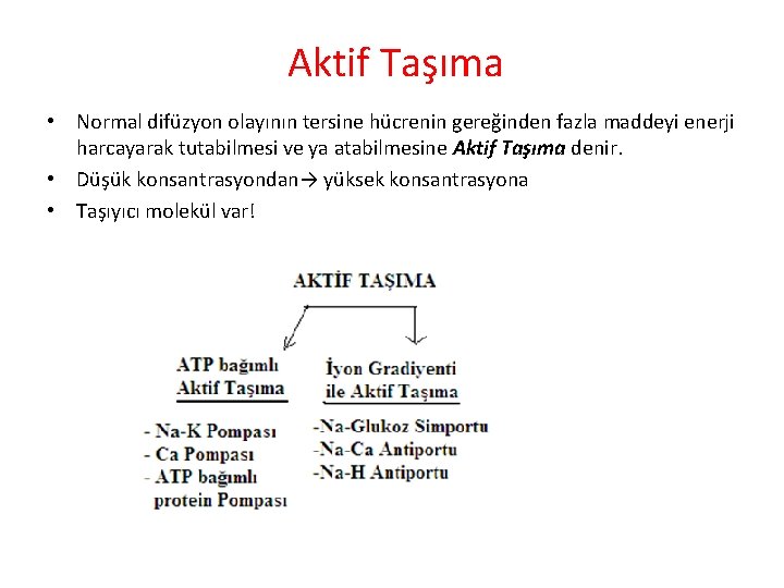 Aktif Taşıma • Normal difüzyon olayının tersine hücrenin gereğinden fazla maddeyi enerji harcayarak tutabilmesi