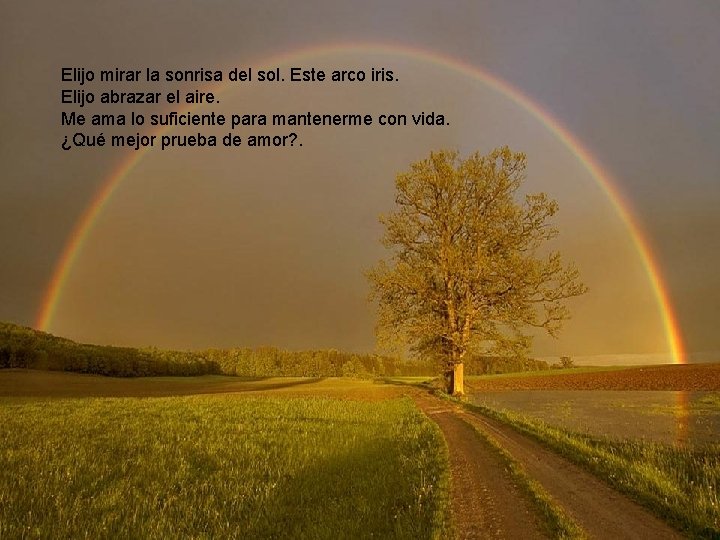 Elijo mirar la sonrisa del sol. Este arco iris. Elijo abrazar el aire. Me