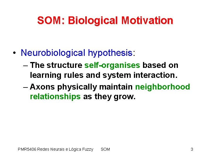 SOM: Biological Motivation • Neurobiological hypothesis: – The structure self-organises based on learning rules