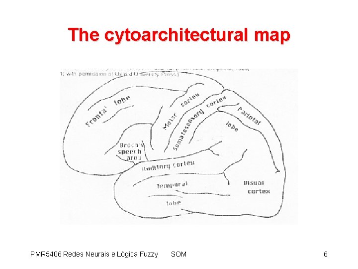 The cytoarchitectural map PMR 5406 Redes Neurais e Lógica Fuzzy SOM 6 