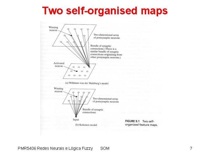 Two self-organised maps PMR 5406 Redes Neurais e Lógica Fuzzy SOM 7 