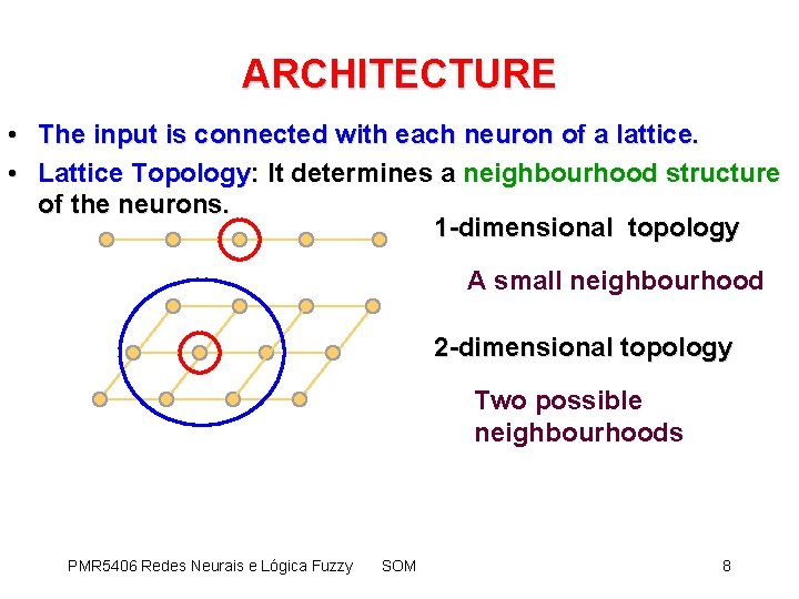 ARCHITECTURE • The input is connected with each neuron of a lattice. • Lattice