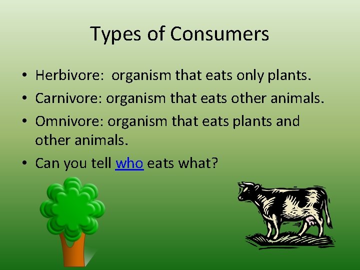 Types of Consumers • Herbivore: organism that eats only plants. • Carnivore: organism that