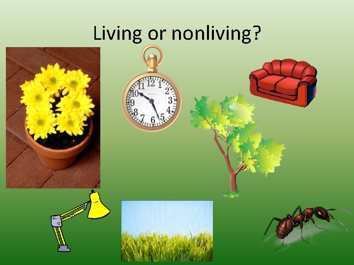 Living or nonliving? 