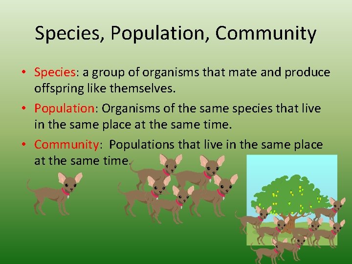 Species, Population, Community • Species: a group of organisms that mate and produce offspring