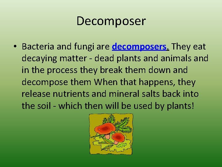 Decomposer • Bacteria and fungi are decomposers. They eat decaying matter - dead plants