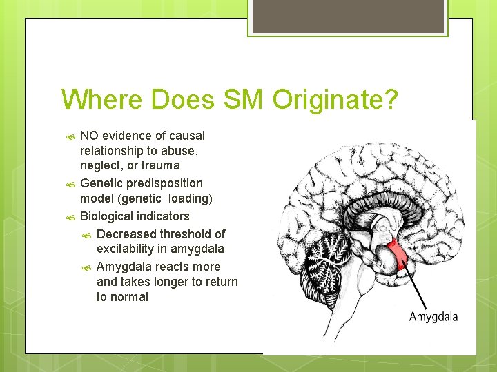 Where Does SM Originate? NO evidence of causal relationship to abuse, neglect, or trauma