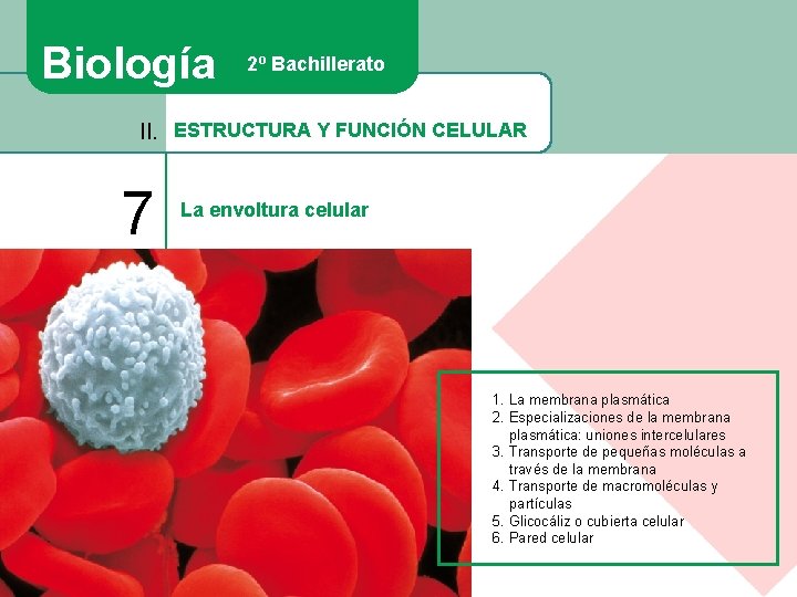 Biología 2º Bachillerato II. ESTRUCTURA Y FUNCIÓN CELULAR 7 La envoltura celular 1. La