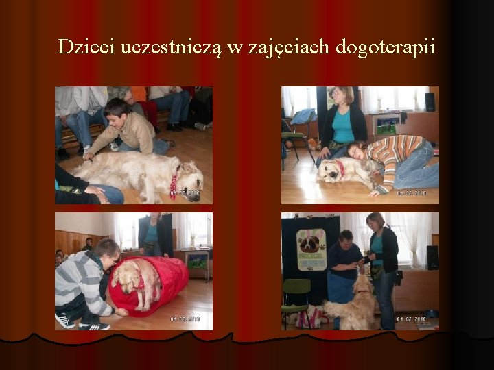 Dzieci uczestniczą w zajęciach dogoterapii 