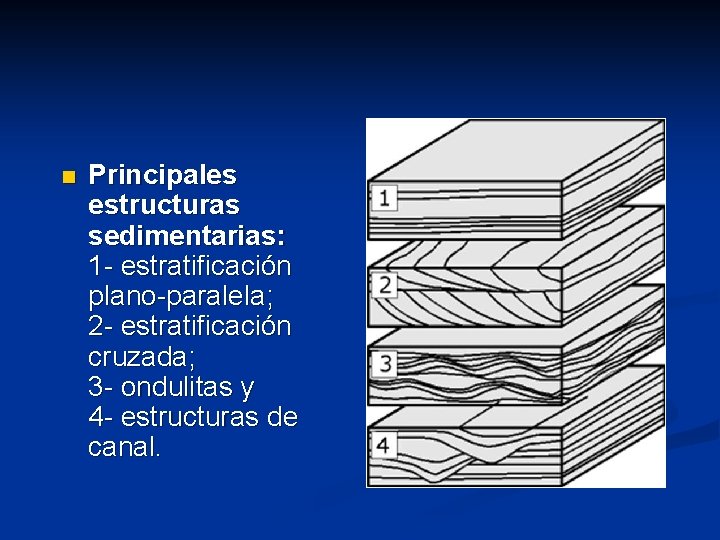 n Principales estructuras sedimentarias: 1 - estratificación plano-paralela; 2 - estratificación cruzada; 3 -