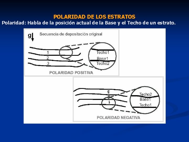 POLARIDAD DE LOS ESTRATOS Polaridad: Habla de la posición actual de la Base y