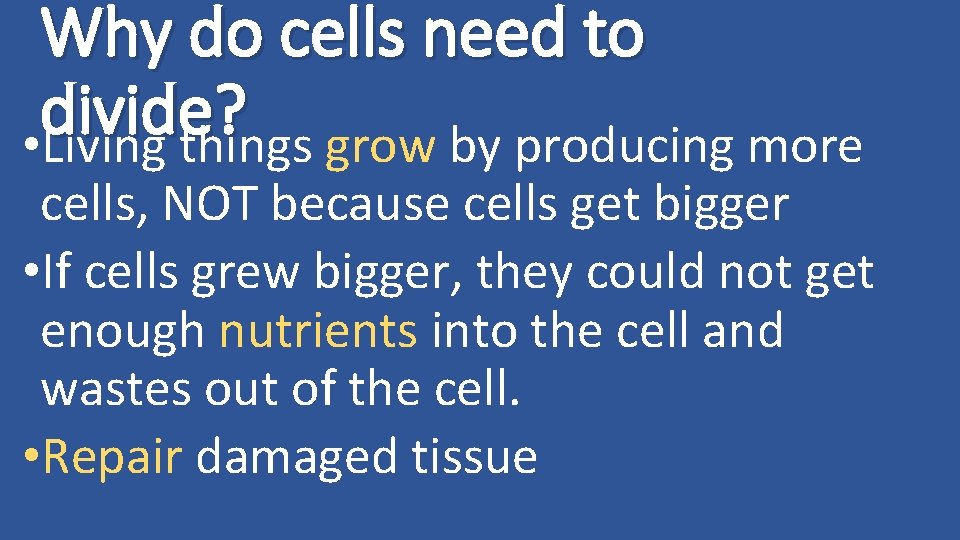Why do cells need to divide? • Living things grow by producing more cells,