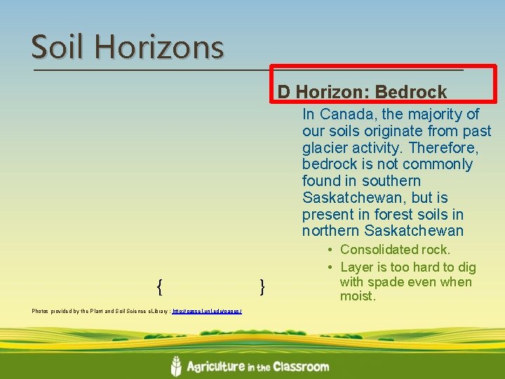 Soil Horizons D Horizon: Bedrock In Canada, the majority of our soils originate from