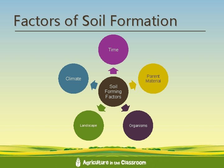 Factors of Soil Formation Time Parent Material Climate Soil Forming Factors Landscape Organisms 