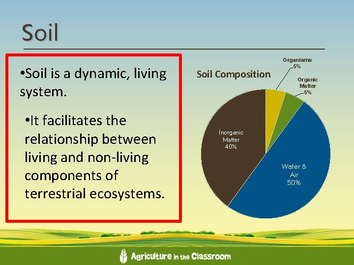 Soil • Soil is a dynamic, living system. • It facilitates the relationship between