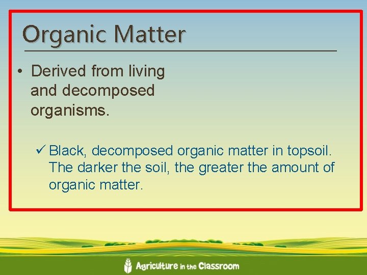 Organic Matter • Derived from living and decomposed organisms. ü Black, decomposed organic matter