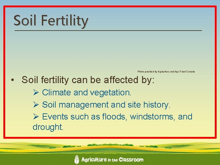 Soil Fertility Photo provided by Agriculture and Agri-Food Canada • Soil fertility can be