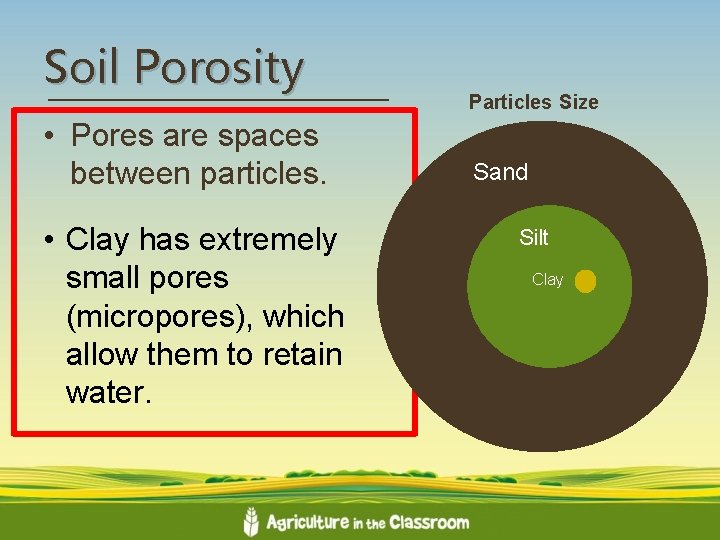 Soil Porosity • Pores are spaces between particles. • Clay has extremely small pores