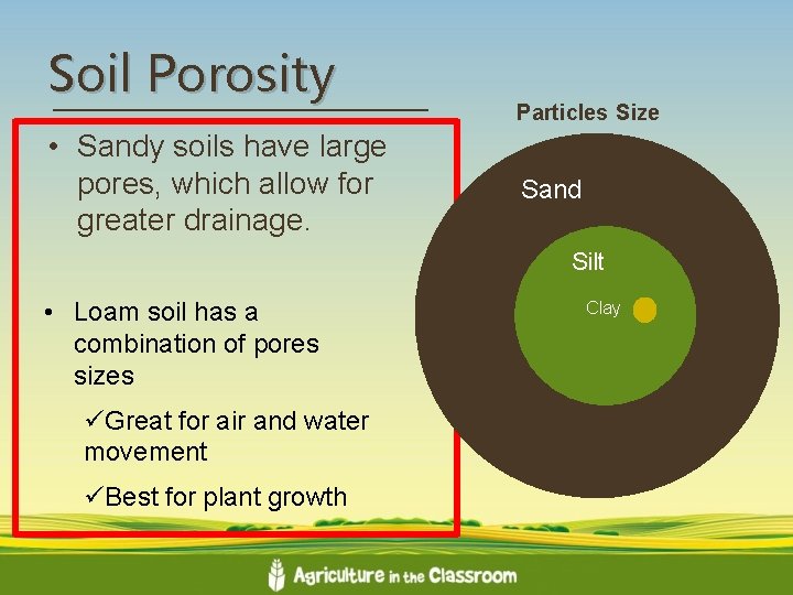 Soil Porosity • Sandy soils have large pores, which allow for greater drainage. Particles