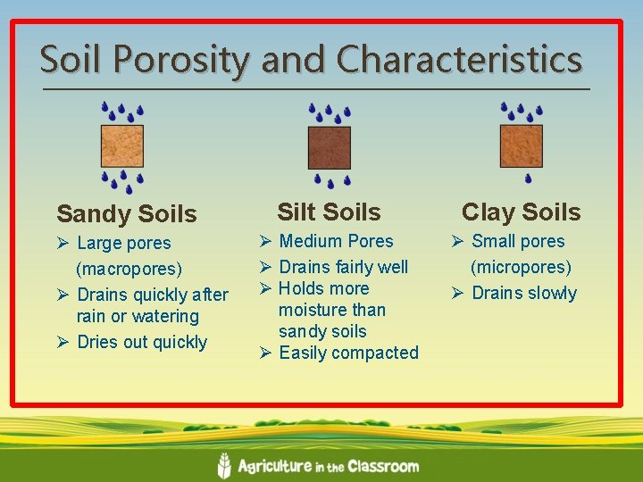 Soil Porosity and Characteristics Sandy Soils Ø Large pores (macropores) Ø Drains quickly after