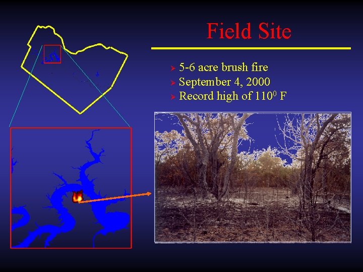 Field Site 5 -6 acre brush fire Ø September 4, 2000 Ø Record high