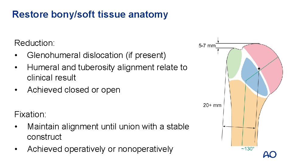 Restore bony/soft tissue anatomy Reduction: • Glenohumeral dislocation (if present) • Humeral and tuberosity