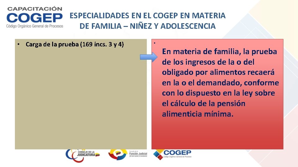 ESPECIALIDADES EN EL COGEP EN MATERIA DE FAMILIA – NIÑEZ Y ADOLESCENCIA • Carga