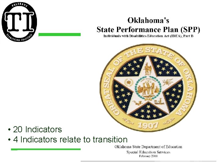  • 20 Indicators • 4 Indicators relate to transition 