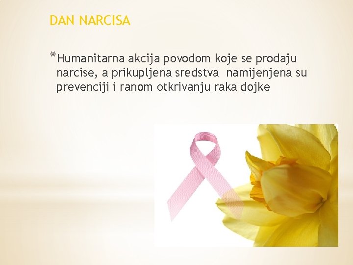 DAN NARCISA *Humanitarna akcija povodom koje se prodaju narcise, a prikupljena sredstva namijenjena su