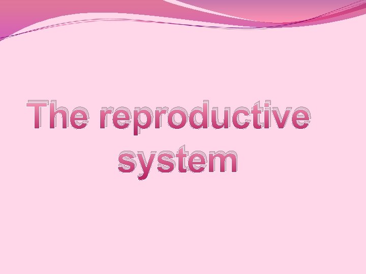 The reproductive system The reproductive system