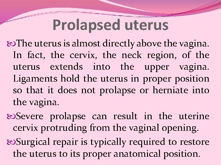 Prolapsed uterus The uterus is almost directly above the vagina. In fact, the cervix, Prolapsed uterus The uterus is almost directly above the vagina. In fact, the cervix,