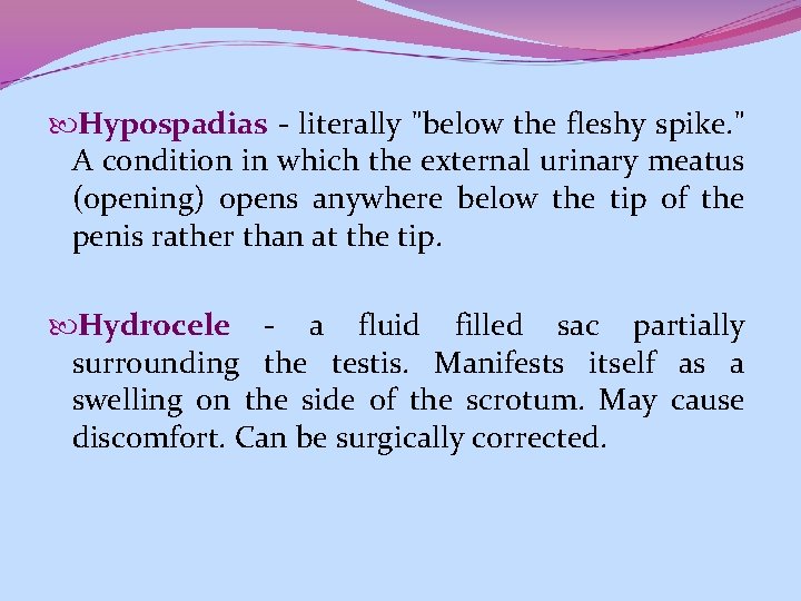 Hypospadias - literally "below the fleshy spike. " A condition in which the Hypospadias - literally "below the fleshy spike. " A condition in which the