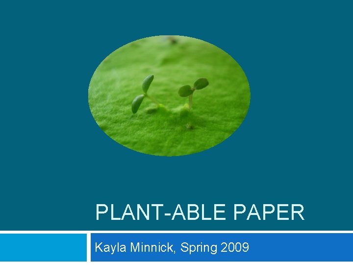 PLANT-ABLE PAPER Kayla Minnick, Spring 2009 