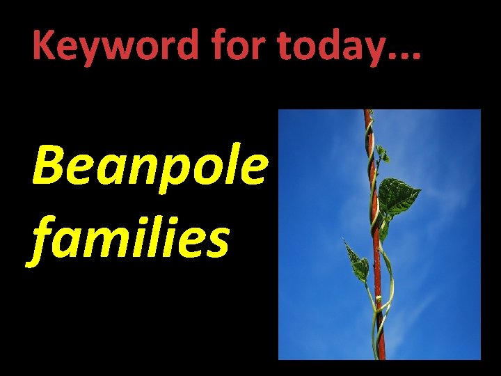 Keyword for today. . . Beanpole families 