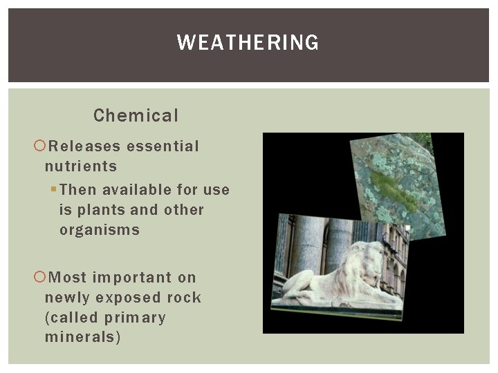 WEATHERING Chemical Releases essential nutrients § Then available for use is plants and other