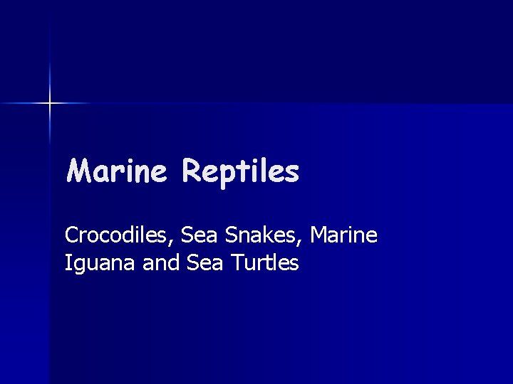 Marine Reptiles Crocodiles, Sea Snakes, Marine Iguana and Sea Turtles 