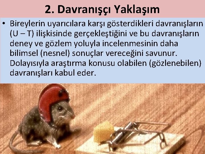 2. Davranışçı Yaklaşım • Bireylerin uyarıcılara karşı gösterdikleri davranışların (U – T) ilişkisinde gerçekleştiğini